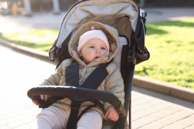 Parktaki bebek arabasında şirin bir bebek.