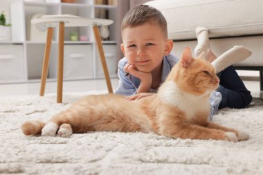 Evinde kızıl kedisi olan küçük bir çocuk