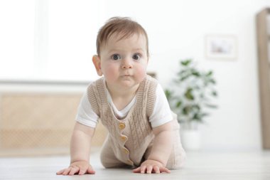 Evde yerde sürünerek şirin bebek