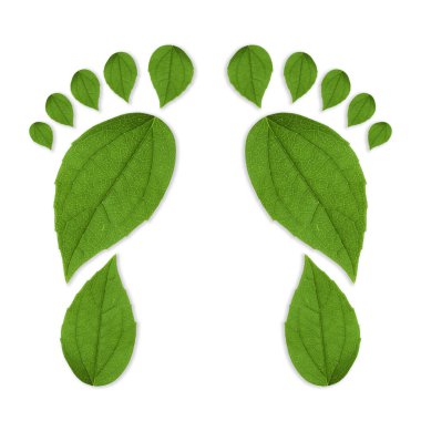 Beyaz arka planda yeşil yapraklardan yapılmış insan ayak izleri. Çevre bakımı, ekoloji koruması, CO2 emisyonunun azaltılması