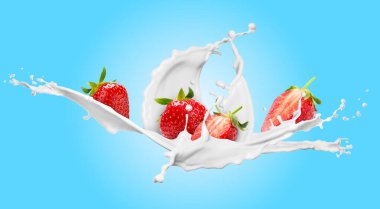 Taze sulu çilekler ve açık mavi arkaplandaki krema damlaları. Pankart tasarımı