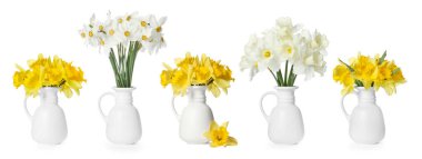 Vazodaki güzel nergisler beyaza izole edilmiş.