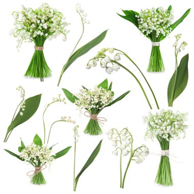 Vadinin güzel zambakları, beyaz çiçekleri, kolaj