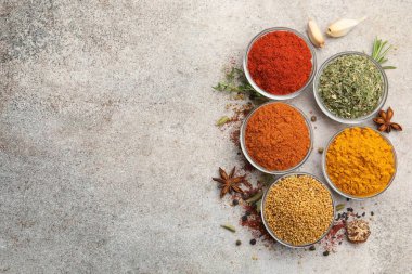 Açık gri masada farklı aromatik baharatlar var. Metin için boşluk