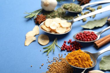 Mavi arka planda farklı aromatik baharatlar, yakın plan