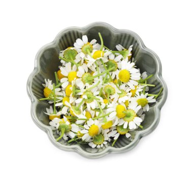 Güzel papatya çiçekleri beyaz kasede izole, üst manzara