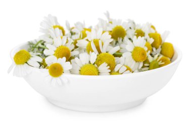 Güzel papatya çiçekleri beyaz kasede izole edilmiş.