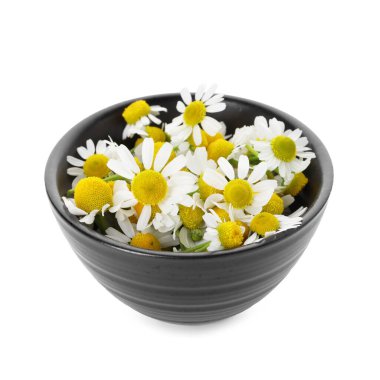 Güzel papatya çiçekleri beyaz kasede izole edilmiş.