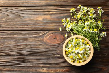 Taze papatya çiçekleri ve tahta masada bir kase. Metin için boşluk