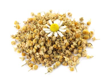 Kuru ve taze papatya çiçeği yığını beyaz üzerine izole edilmiş.