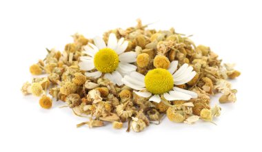 Kuru ve taze papatya çiçeği yığını beyaz üzerine izole edilmiş.