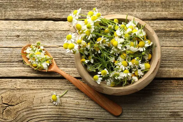 Taze papatya çiçekleri kâsede ve kaşık tahta masada, düz yatıyordu.