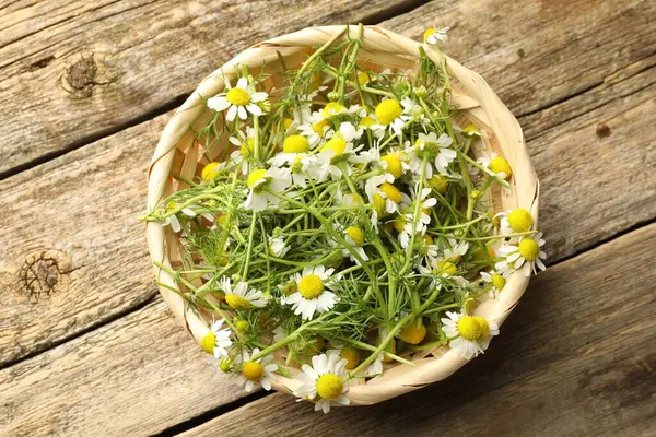 Taze papatya çiçekleri hasır sepetin içinde ahşap masanın üstünde, üst tarafta.