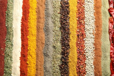 Arka plan olarak birçok farklı baharat, üst görünüm