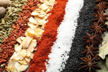 Arka plan olarak çok farklı aromatik baharatlar, yakın plan