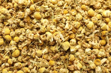 Arka plan olarak papatya çiçeklerini kurut, üst manzara