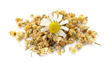 Kuru ve taze papatya çiçeği yığını beyaz üzerine izole edilmiş.