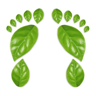 Beyaz arka planda yeşil yapraklardan yapılmış insan ayak izleri. Çevre bakımı, ekoloji koruması, CO2 emisyonunun azaltılması