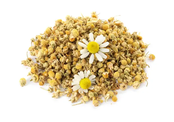 Kuru ve taze papatya çiçeği yığını beyaz üzerine izole edilmiş.