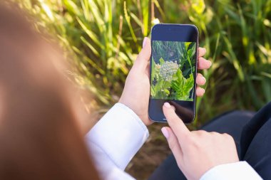 Açık havada akıllı telefondan bitki tanıma uygulaması kullanan bir kadın.