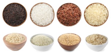 Kahverengi ve diğer pirinç türleri beyaz kolaja izole edilmiş. Üst ve yan görünüm