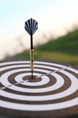 Hedef alınıyor. Dart tahtası ve açık havada ok, yakın plan.