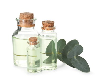 Beyaz üzerine izole edilmiş yağ ve okaliptüs yaprakları şişeleri.