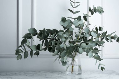 Beyaz duvarın yanındaki mermer masada vazoda yeşil okaliptüs dalları var.