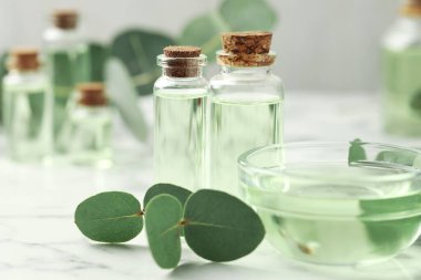 Yağ şişeleri, kase ve okaliptüs yaprakları beyaz mermer masanın üzerinde, yakın plan.