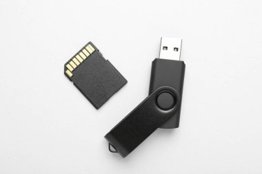 Beyaz arkaplanda flaş bellek ve SD bellek kartı, düz konum