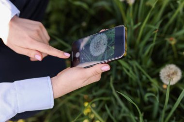 Açık havada akıllı telefondan bitki tanıma uygulaması kullanan bir kadın.