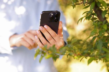 Açık havada akıllı telefondan bitki tanıma uygulaması kullanan bir kadın.