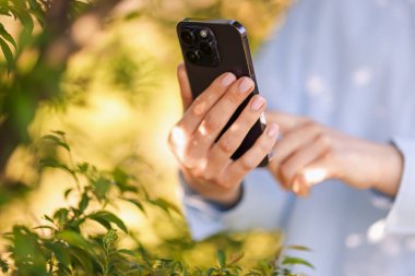 Açık havada akıllı telefondan bitki tanıma uygulaması kullanan bir kadın.