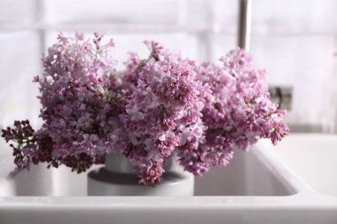 Mutfak lavabosunda güzel leylak çiçekleri, yakın çekim.