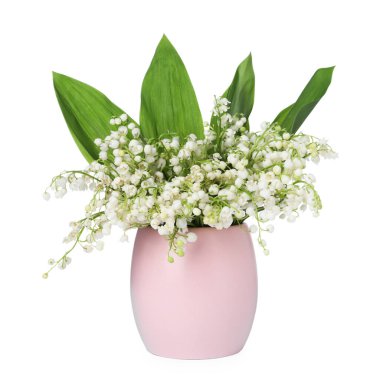 Bir buket güzel zambak vadi çiçekleri bembeyaz