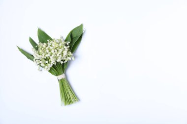 Beyaz arka planda, vadideki güzel zambak çiçekleri, üst manzara. Metin için boşluk