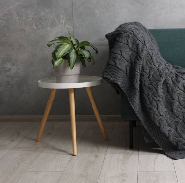 Kanepede yün ekose ve evde bitki.