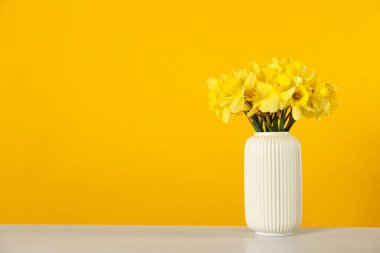 Sarı arka planda beyaz masadaki vazodaki güzel nergisler. Metin için boşluk