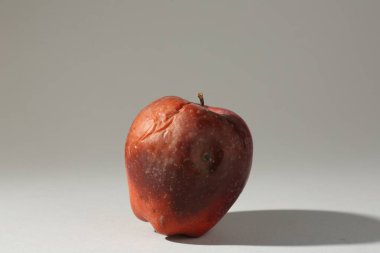 Açık gri arkaplanda bir çürük kırmızı elma