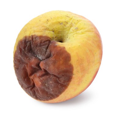 Bir çürük elma beyazda izole edilmiş.