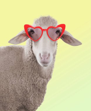 Sarı renkli arka planda kalp şeklinde güneş gözlüklü sevimli koyunlar.