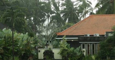 Şiddetli yağmurda güzel bir bina ve farklı yeşil bitkiler