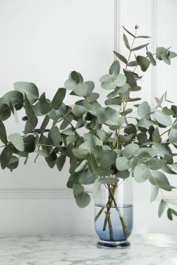 Beyaz duvarın yanındaki mermer masada vazoda yeşil okaliptüs dalları var.