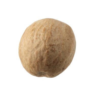 Bir hindistan cevizi havadan izole edilmiş.