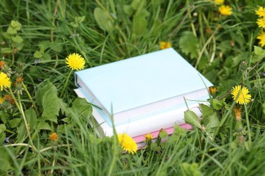 Yeşil çimlerin üzerine yığılmış kitaplar, yakın plan.