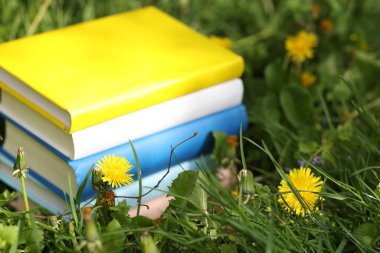 Yeşil çimenler üzerine kitap istifledim, yakın plan. Metin için boşluk