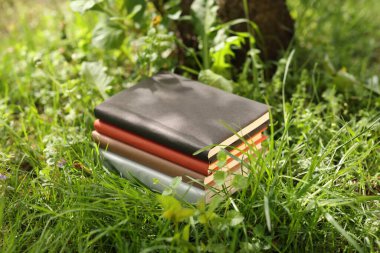 Yeşil çimenler üzerine farklı istiflenmiş kitaplar.