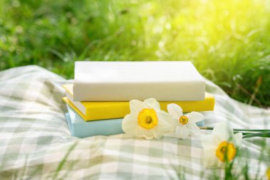 Saklanmış kitaplar, nergis çiçekleri ve yeşil çimlerin üzerinde battaniye, yakın plan.