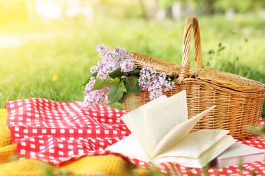 Kitaplar, battaniye ve hasır sepet açık yeşil çimlerde leylak çiçekleri