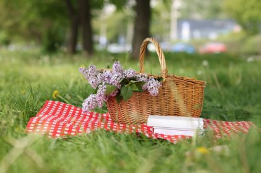Kitaplar, battaniye ve hasır sepet açık yeşil çimlerde leylak çiçekleri